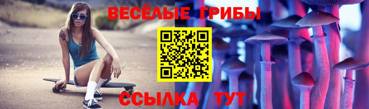 Псилоцибиновые грибы Psilocybine cubensis Полевской